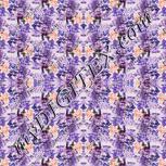 Colour:D