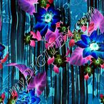 Colour:F