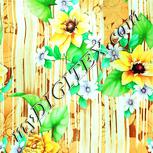 Colour:K
