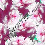 Colour:B