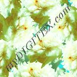 Colour:K