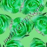 Colour:C