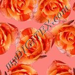 Colour:J