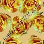 Colour:K