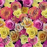 Colour:A