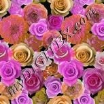 Colour:B
