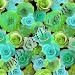 Colour:C