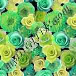 Colour:D