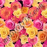 Colour:J