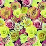 Colour:K