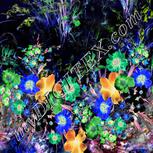 Colour:F
