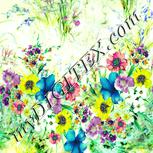 Colour:K