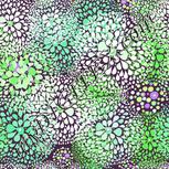 Colour:D