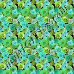 Colour:C