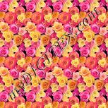 Colour:J