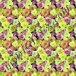 Colour:K