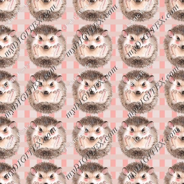 Baby Hedgehogs