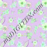 Colour:C