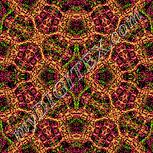 Colour:J