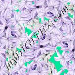 Colour:A