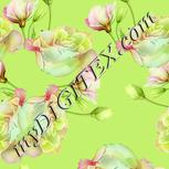 Colour:K