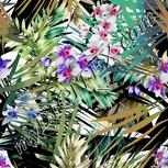 Colour:A