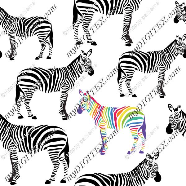 Zebras Black and White and Rainbow. Be Yourself!