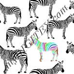 Colour:C