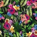 Colour:A