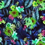 Colour:C