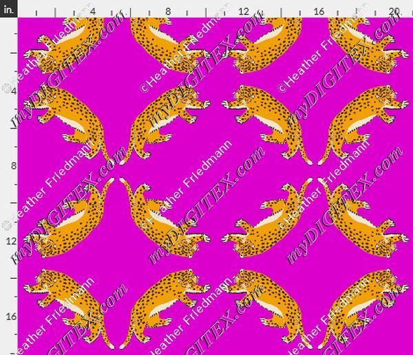 cheetah11