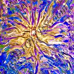 Colour:J