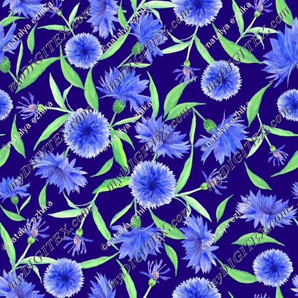 NK114cornflower