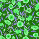 Colour:B