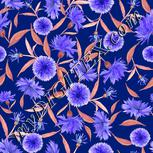 Colour:D