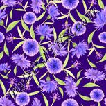 Colour:J
