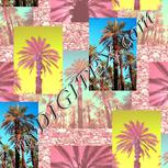 Colour:J