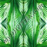 Colour:A