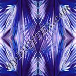 Colour:C