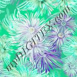 Colour:K