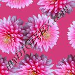 Colour:A
