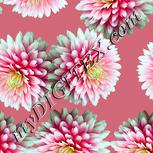 Colour:K