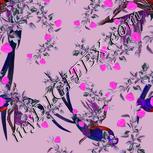 Colour:B