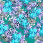 Colour:F