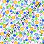 Colour:F
