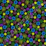 Colour:K