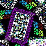 Colour:F
