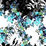 Colour:F
