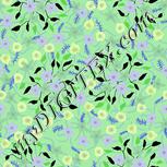 Colour:D