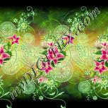 Colour:K